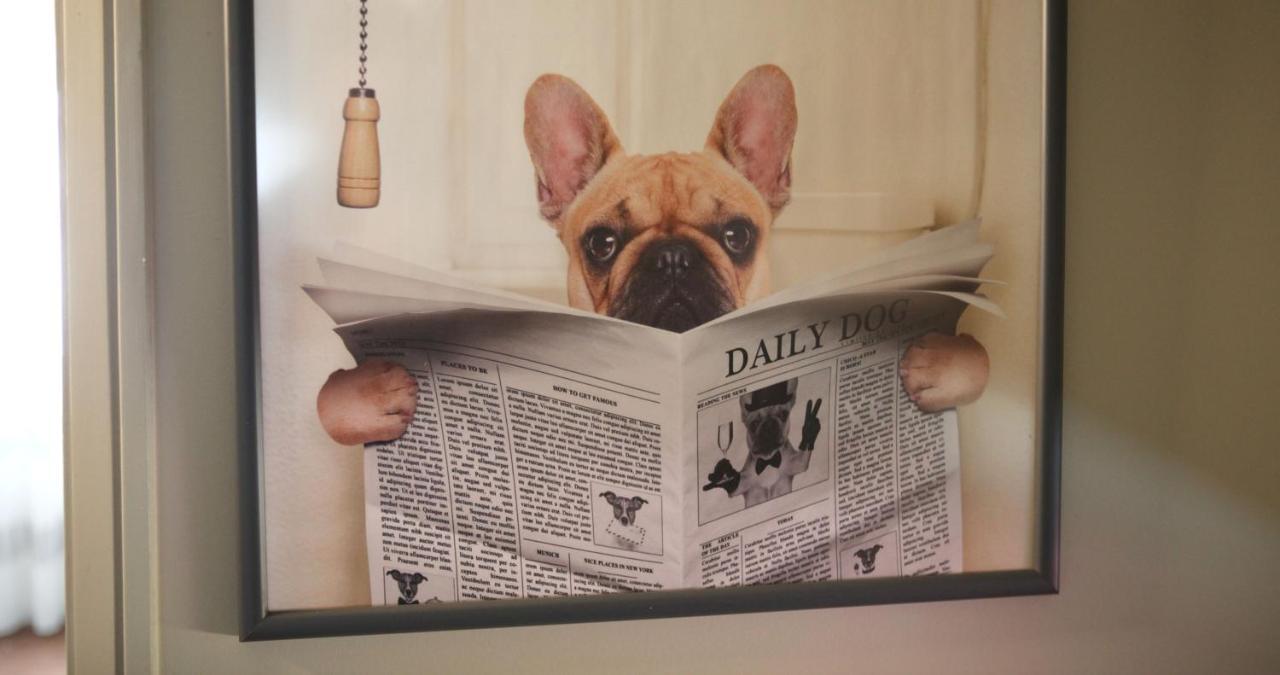 Вілла Woof & Sun Ешморіш Екстер'єр фото