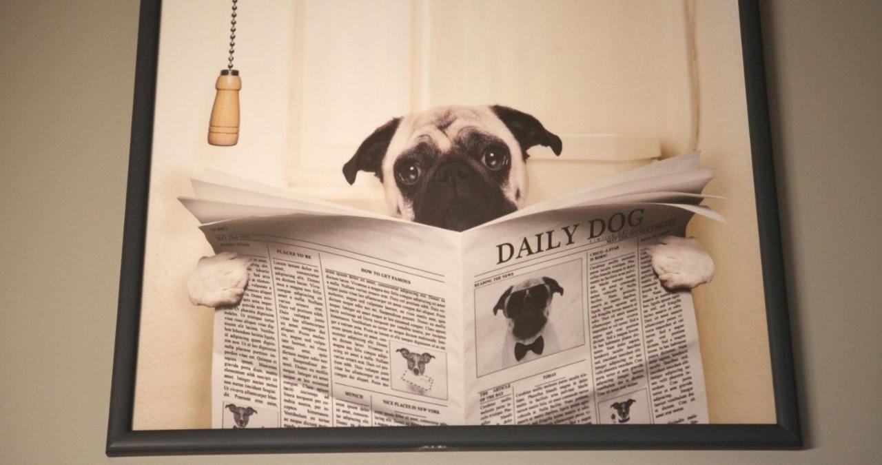 Вілла Woof & Sun Ешморіш Екстер'єр фото